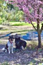 Anja and Duchess