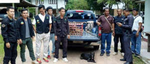 The police and other authorities make an arrest