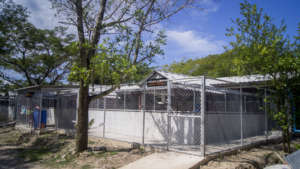 New run for dogs rescued from the dog meat trade