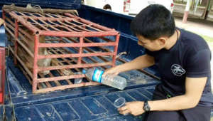 Namtarn is shown kindness by one of his rescuers