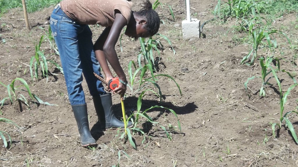 Support Sustainable Agriculture Students in Haiti