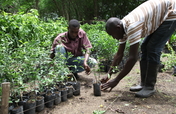 Support Sustainable Agriculture Students in Haiti