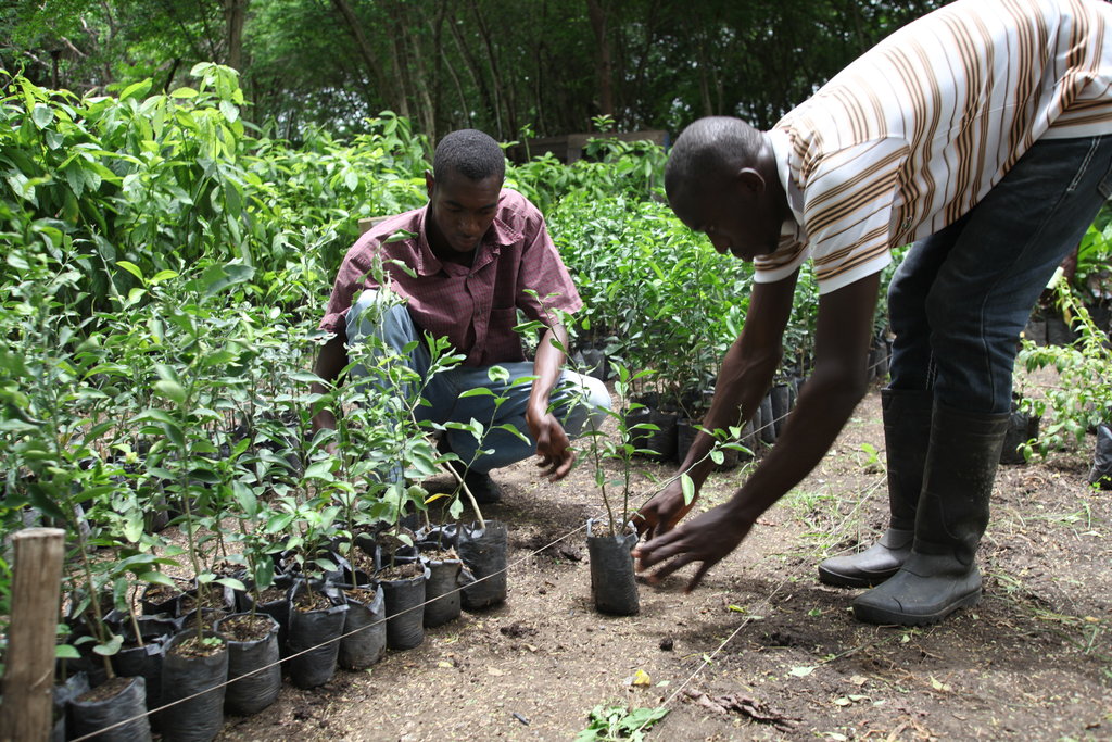 Support Sustainable Agriculture Students in Haiti