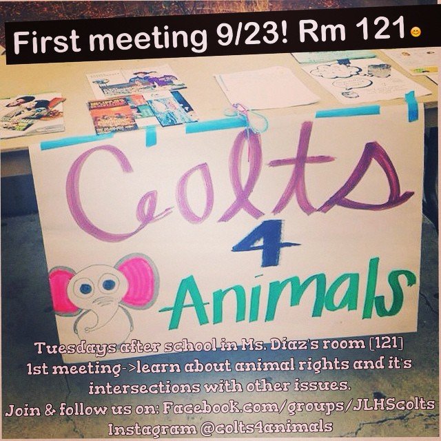 Jia Hui's first club meeting went great!