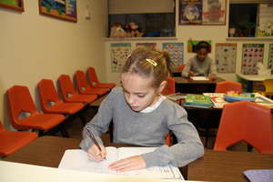 Developmental Reading Assessment (DRA)