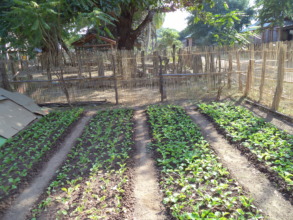 Home garden of people in Koh Preah