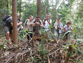 Shooting yellow snake during trekking