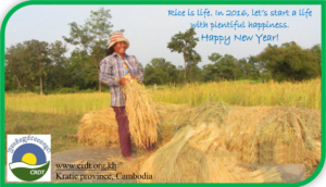 New Year wishing card from CRDT