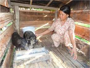 Mrs. Channy feeding her pigs