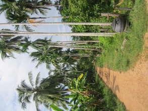 Koh Preah island