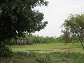 View of the island