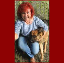Another Safe & Happy Dogland Rescue Animal