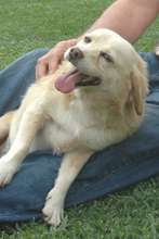 ADOPTED!