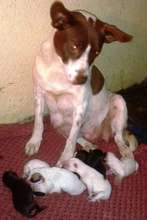 Rescued Near Term