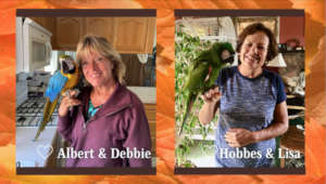 ALBERT AND HOBBES WERE ADOPTED