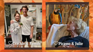 CRACKLE AND PICASSO WERE ADOPTED - YAY
