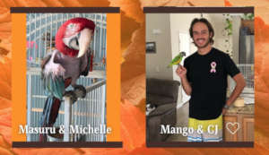 MASURU AND MANGO HAVE NEW FAMILIES THANKS TO YOU!