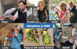 Adoptions in 2022, Thanks to YOU!