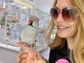 VOLUNTEER APRIL WITH SKYE AT AN ADOPTION EVENT