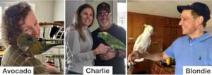 Avocado, Charlie and Blondie were adopted in 2024!