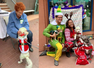 GERI and GUESTS MINGLE AT TRACI'S PAWS FUNDRAISER