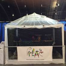 Parrot Tent at the America's Family Pet Expo