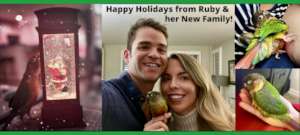 A CHRISTMAS WISH COME TRUE - RUBY HAS A HOME!