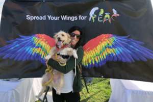 GET YOUR RAINBOW WINGS ON TO SUPPORT PEAC!