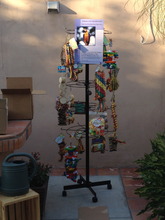 Toy Donation Project 2