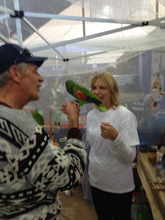 volunteers working with one of the foster birds