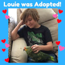 Louie was Adopted!