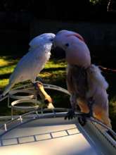 Mia with her friend Whitney catching some sun