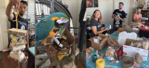 PEAC VOLUNTEERS CREATIVELY CRAFTING FORAGING TOYS