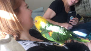 Munchkin meets his new mom for the first time.