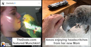 MUNCHIN AND AMOS HAVE HAPPY ENDINGS IN COMMON