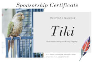 YOU TOO CAN SPONSOR ONE OF OUR PARROTS!