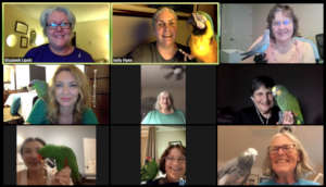 PEAC VOLUNTEERS MEETING ON ZOOM WITH OUR PARROTS