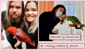 WE'RE SO HAPPY THAT MISTY AND PANCHO FOUND LOVE