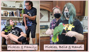 CONGRATULATIONS TO PICKLE ON FINDING HER FAMILY!