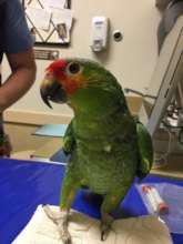 I'm SO glad to be out of that tiny cage!!!