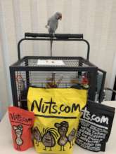 SKYE LOVES HIS DONATED NUTS - THANK YOU!
