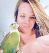 OLLIE LOVES HIS NEW MOM (AND TO PREEN HER HAIR)