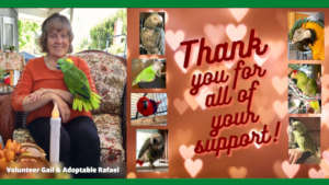 THANK YOU FOR YOUR CONTINUED SUPPORT!