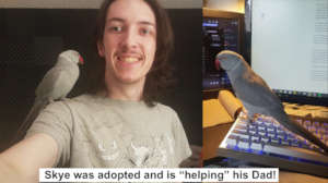 SKYE WAS ADOPTED AND HELPS OUT ON DAD'S COMPUTER