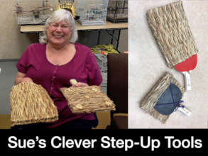 Sue's Cleverly Crafted Step Up Tools