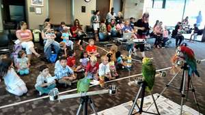 Summer Reading Program