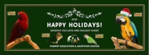 HAVE A HEALTHY AND HAPPY NEW YEAR!
