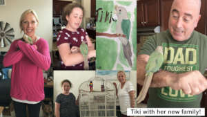 TIKI AND HER NEW FAMILY - SO HAPPY TOGETHER