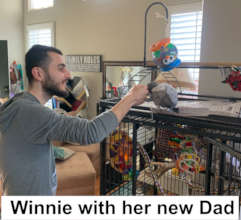 WINNIE MEETING HER NEW DAD- THEIR LOVESTORY BEGINS
