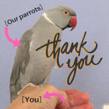 THANK YOU FOR ALL OF YOUR SUPPORT!